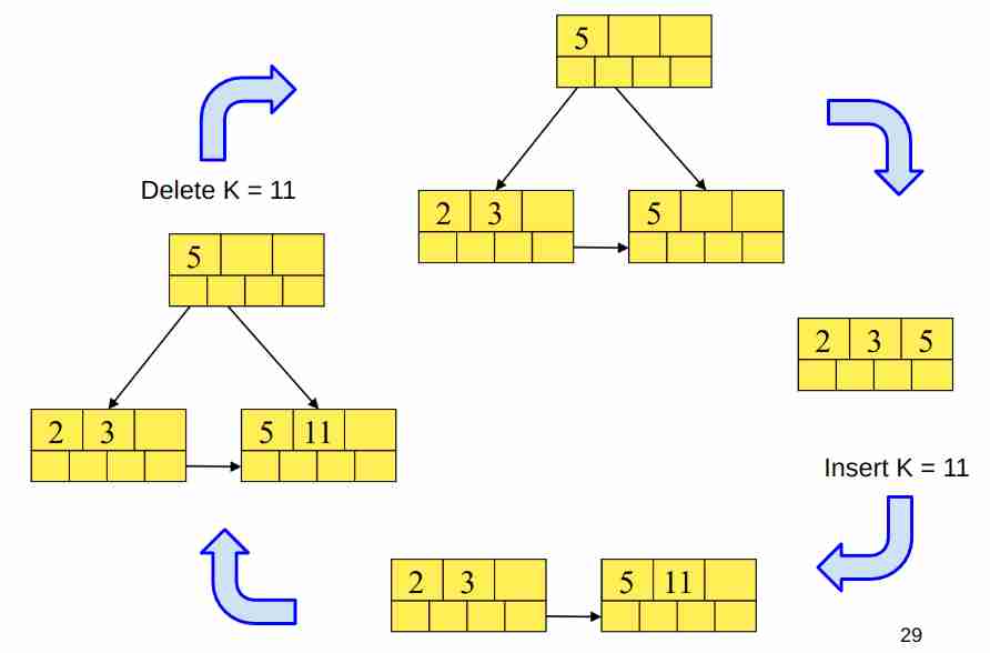 The Database Management System-1701437198073